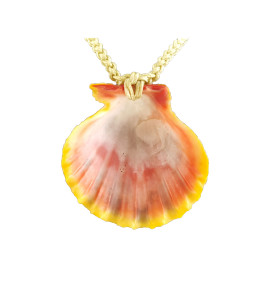 Sunrise Seashell Necklace