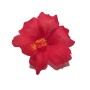 Hawaiian-Flower-Hair-Clip-Bundle-Assorted-Hibiscus-Hair-Clips-Pack-of-5-B0171HOOJM-2