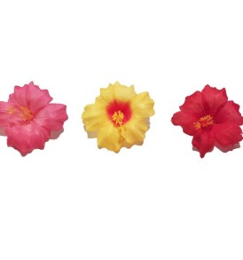 Hawaiian-Flower-Hair-Clip-Bundle-Assorted-Hibiscus-Hair-Clips-Pack-of-5-B0171HOOJM