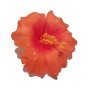 Hawaiian-Flower-Hair-Clip-Bundle-Assorted-Hibiscus-Hair-Clips-Pack-of-5-B0171HOOJM-4