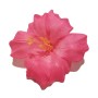 Hawaiian-Flower-Hair-Clip-Bundle-Assorted-Hibiscus-Hair-Clips-Pack-of-5-B0171HOOJM-5