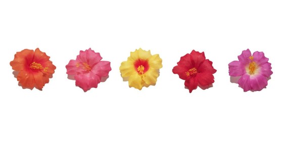 Hawaiian-Flower-Hair-Clip-Bundle-Assorted-Hibiscus-Hair-Clips-Pack-of-5-B0171HOOJM