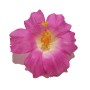 Hawaiian-Flower-Hair-Clip-Bundle-Assorted-Hibiscus-Hair-Clips-Pack-of-5-B0171HOOJM-6