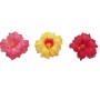 Hawaiian-Flower-Hair-Clip-Bundle-Assorted-Hibiscus-Hair-Clips-Pack-of-5-B0171HOOJM