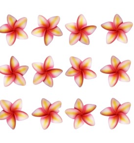 Hawaiian-Flower-Hair-Clip-Bundle-Higher-Quality-Foam-Plumeria-Hair-Clips-Pack-of-12-B018P1DZ3O