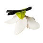 Hawaiian-Flower-Hair-Clip-Bundle-Higher-Quality-Foam-Plumeria-Hair-Clips-Pack-of-12-B018P1DZ3O-3