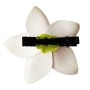 Hawaiian-Flower-Hair-Clip-Bundle-Higher-Quality-Foam-Plumeria-Hair-Clips-Pack-of-12-B018P1DZ3O-4