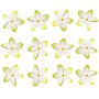 Variation-781119995370-112215-EWA1188-of-Hawaiian-Flower-Hair-Clip-Bundle-8211-Higher-Quality-Foam-Plumeria-Hair-Clip-B018P1DZ3O-1069