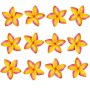 Variation-781119995400-112215-EWA1188-of-Hawaiian-Flower-Hair-Clip-Bundle-8211-Higher-Quality-Foam-Plumeria-Hair-Clip-B018P1DZ3O-1073