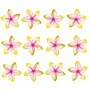 Variation-781119995424-112315-EWA1188-of-Hawaiian-Flower-Hair-Clip-Bundle-8211-Higher-Quality-Foam-Plumeria-Hair-Clip-B018P1DZ3O-1071